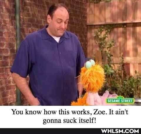 You know how this works, Zoe. It ain't