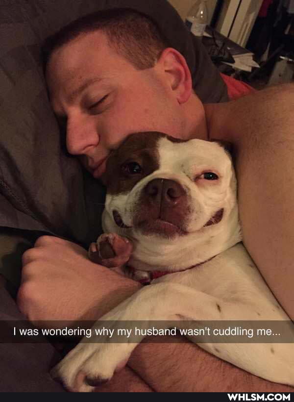 was wondering why my husband wasn't cuddling me...