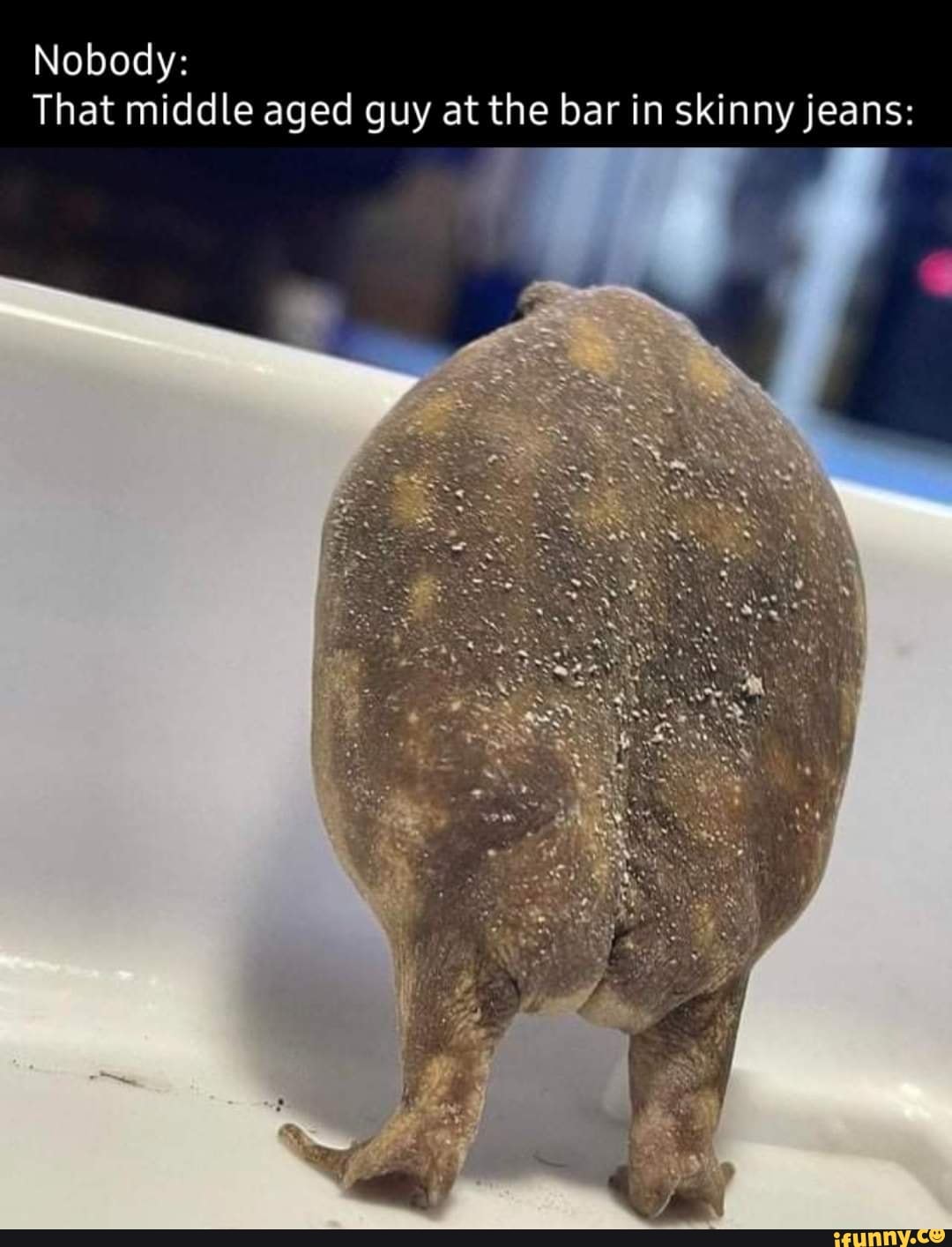 Nobody:
That middle aged guy at the bar in skinny jeans: