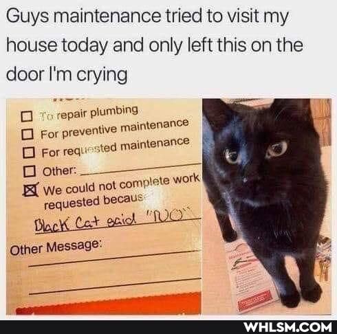 Guys maintenance tried to visit my house today and only left this on the
door I'm crying
repair plumbing
For preventive mainte!
For requested maintenance
other:
EX We could not complete work
Other Message: