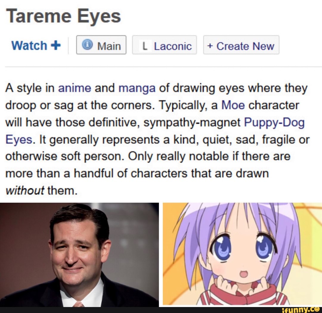 Tareme Eyes A Style In Anime And Manga Of Drawing Eyes Where They Droop Or Sag At The Corners Typically A Moe Character Will Have Those Definitive Sympathy Magnet Puppy Dog Eyes It Generally