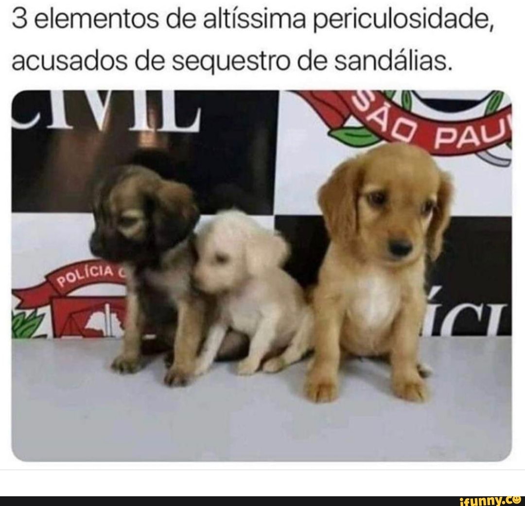 3 elementos de altíssima periculosidade,
acusados de sequestro de sandálias.