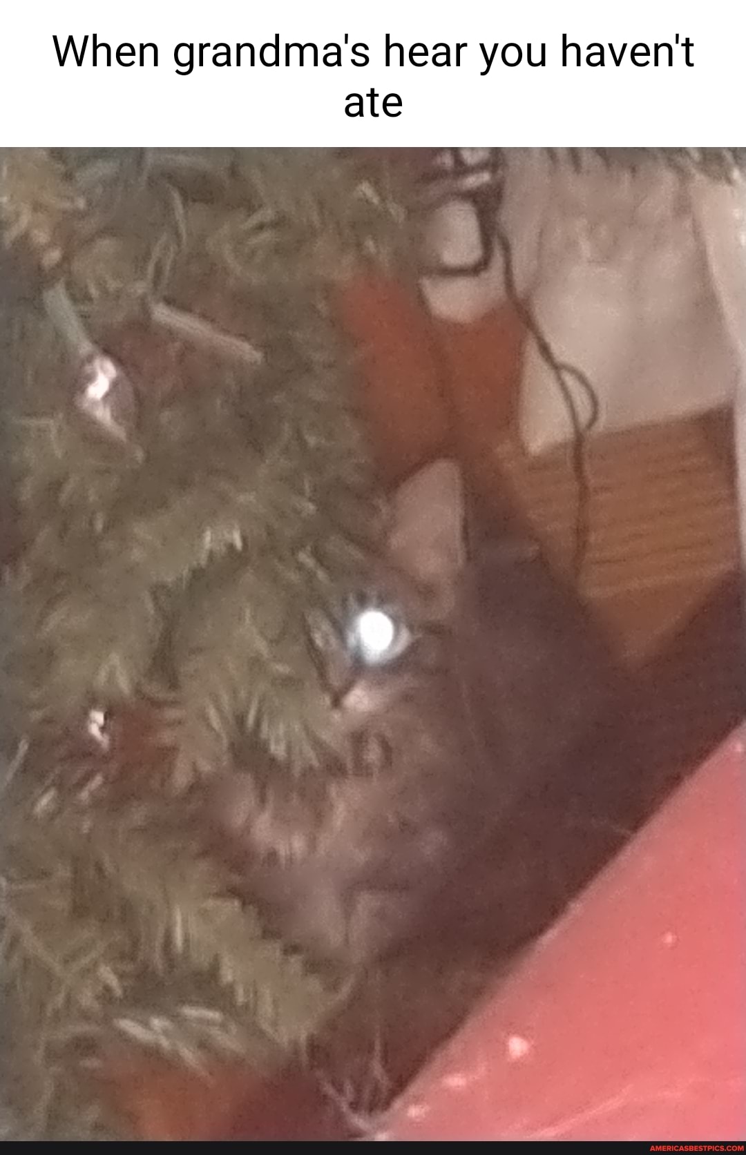 When grandma's hear you haven't
ate