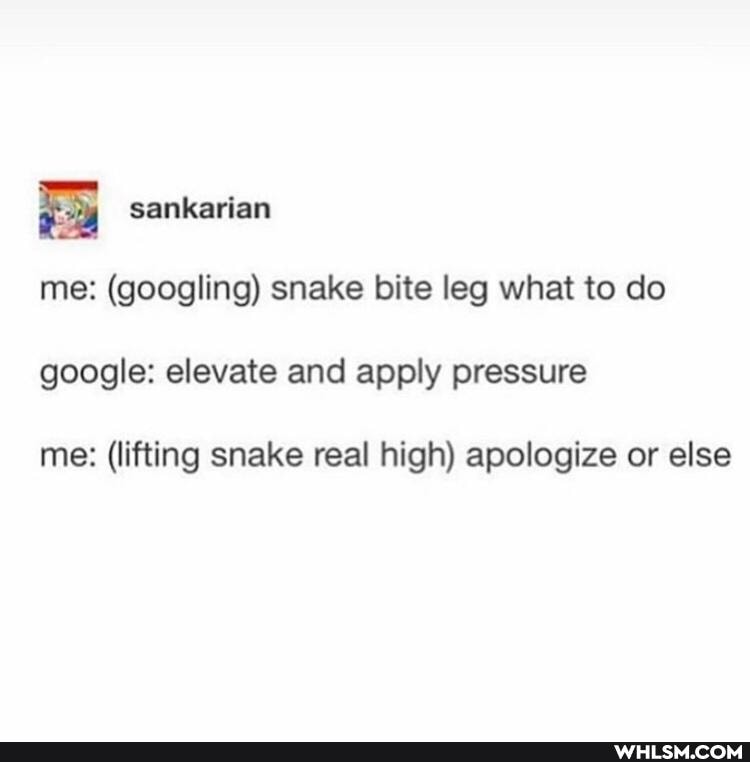 sankarian
me: (googling) snake bite leg what to do google: elevate and apply pressure
me: (lifting snake real high) apologize or else