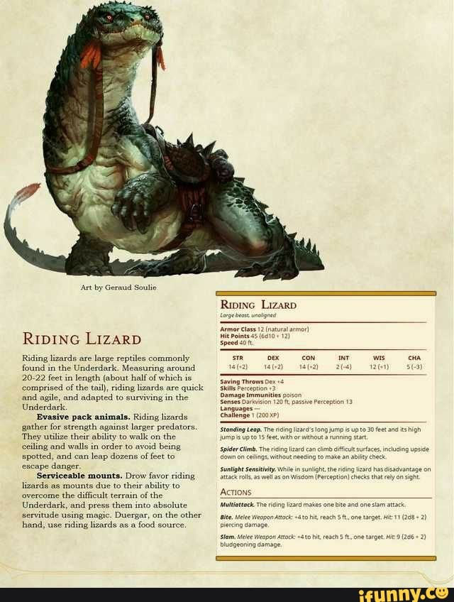 RIDING LIZARD Riding lizards are large reptiles commonly the Underdark ...