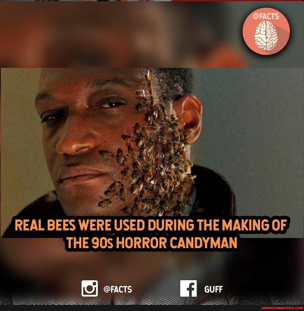 REAL BEES WERE USED DURING THE MAKING ING OF THE HORROR CANDYMAN
@FACTS cur