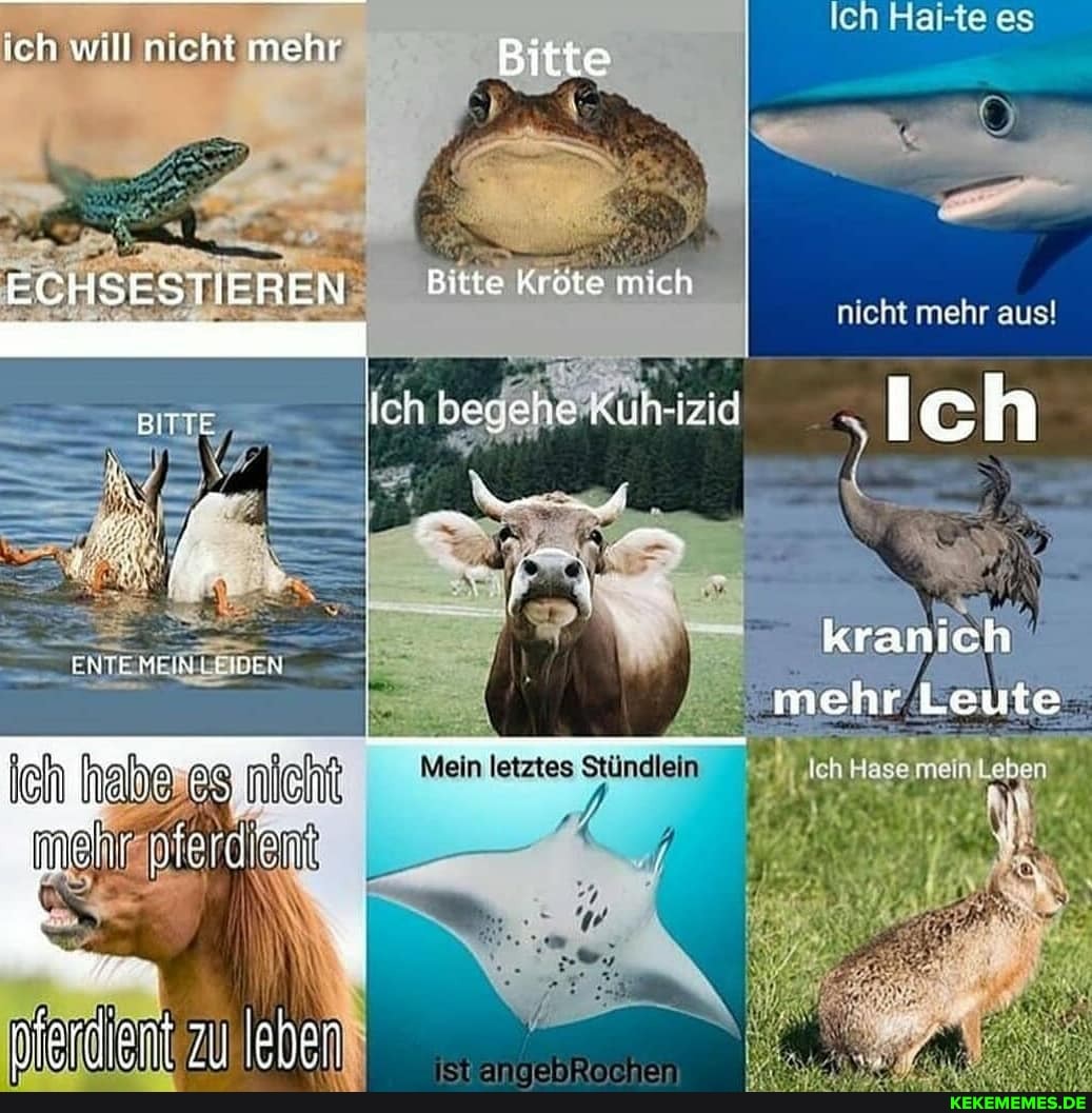 ich will nicht mehr Bitte
REN Bitte Kröte mich
len Hal-te es
chi mehr ausl
BITTE ich begene Kun-izid lc
L, - .
kranich
mehr Leute
Mein letztes
me
nferdient zu jenen