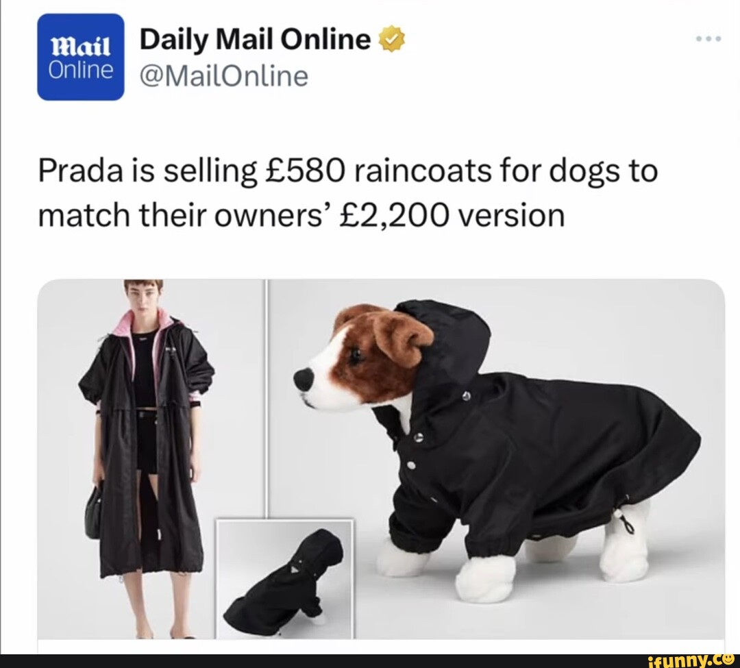 Raincoats memes. Best Collection of funny Raincoats pictures on iFunny