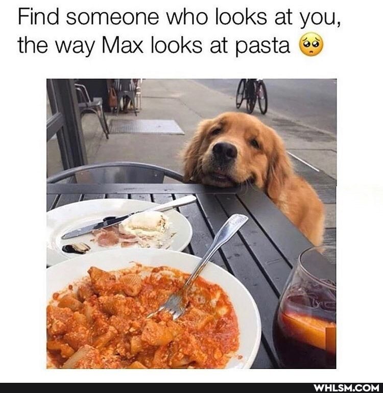 Find someone who looks at you, the way Max looks at pasta @9)