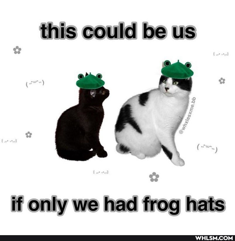 this could be us
ww ON
if only we had frog hats