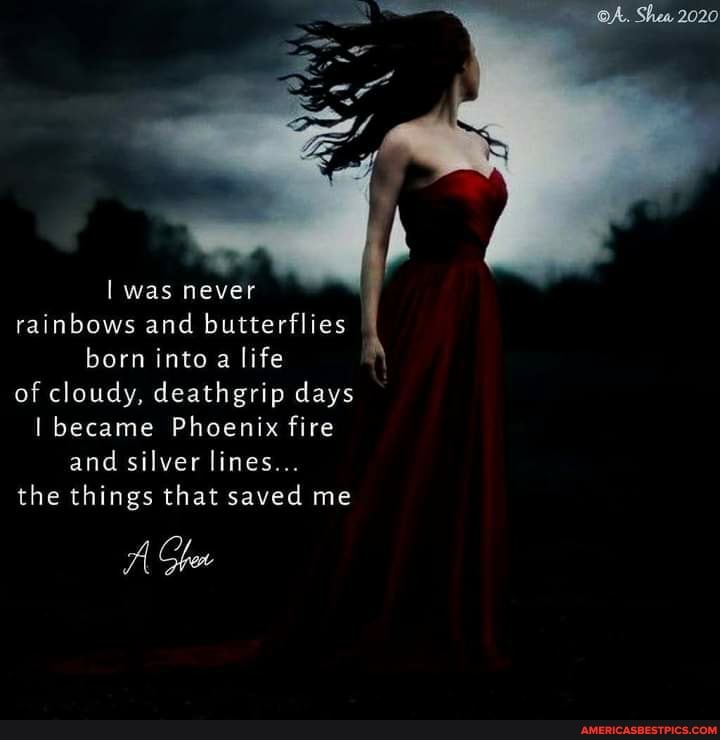 I was never rainbows and butterflies born into a life of cloudy, deathgrip days
I became Phoenix fire and silver lines...
the things that saved me
AA Ghow