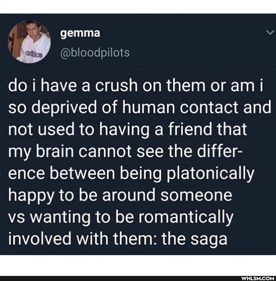 bloodpilots
do have a crush on them or am so deprived of human contact and not used to having a friend that my brain cannot see the differ- ence between being platonically happy to be around someone
vs wanting to be romantically involved with them: the saga