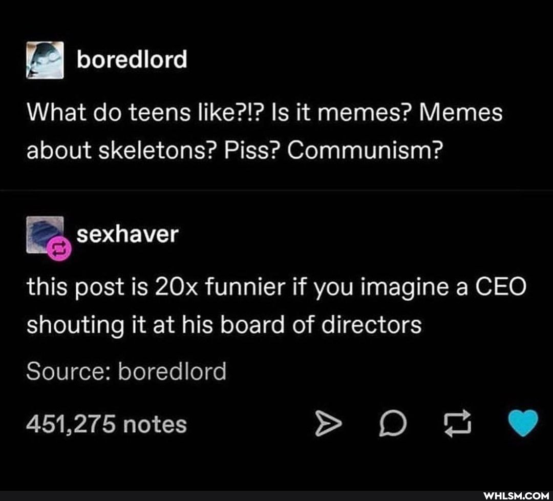 What do teens like?!? Is it memes? Memes about skeletons? Piss? Communism?
Le
this post is funnier if you imagine a CEO shouting it at his board of directors
Source: boredlord
451,275 notes > ona