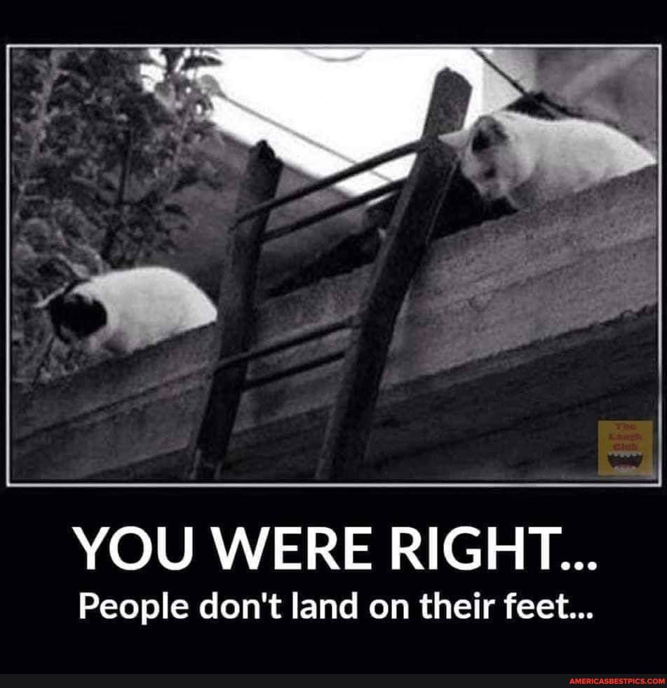 YOU WERE RIGHT...
People don't land on their feet...