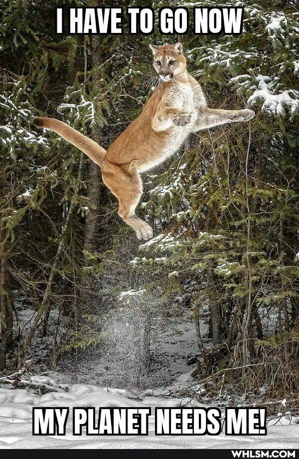 IHAVE TO GO NOW
MY PLANET-NEEDS ME!