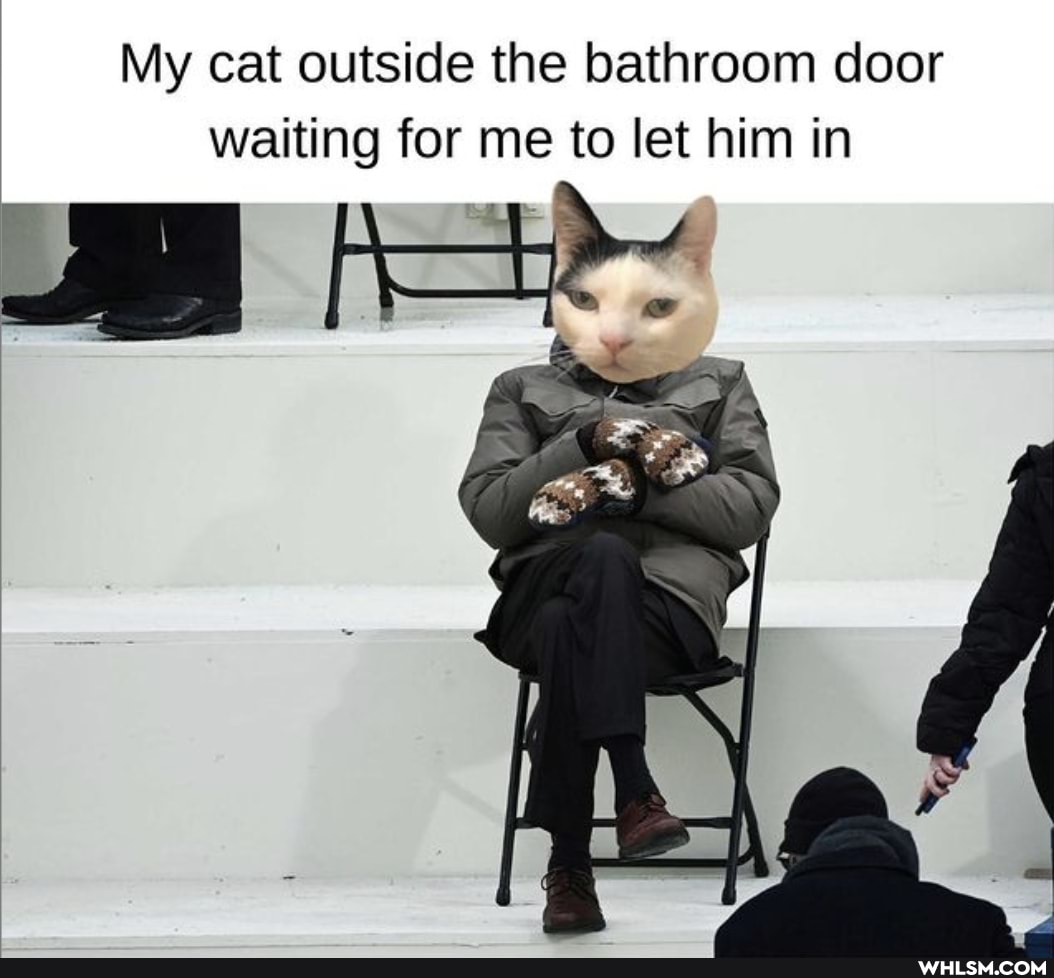 My cat outside the bathroom door waiting for me to let him in