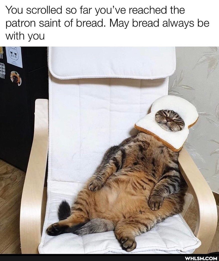 You scrolled so far you've reached the patron saint of bread. May bread always be with you