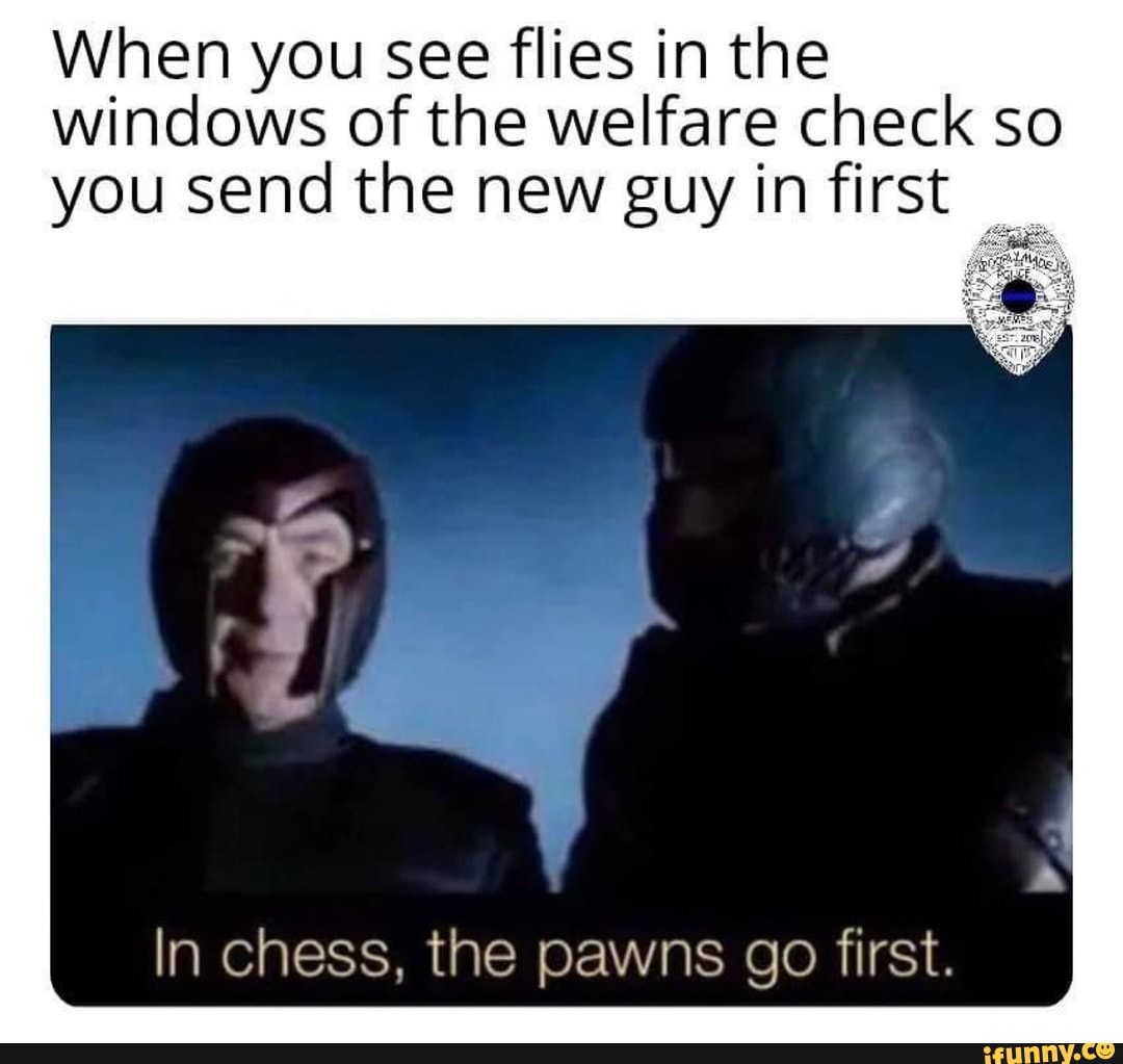 When you see flies in the
windows of the welfare check so
you send the new guy in first
In chess, the pawns go first.