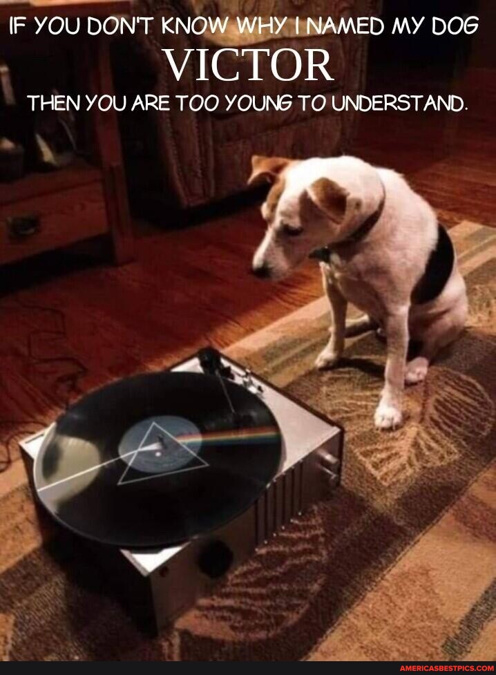 IF YOU DON'T KNOW WHY I NAMED MY DOG VICTOR THEN YOU ARE TOO YOUNG TO