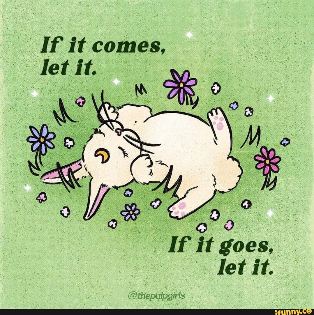 If it comes, let it. If it goes, let it. @ihepulpgirts - iFunny