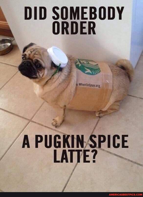 DID SOMEBODY ORDER
PUEKIN PICE LATTE?
