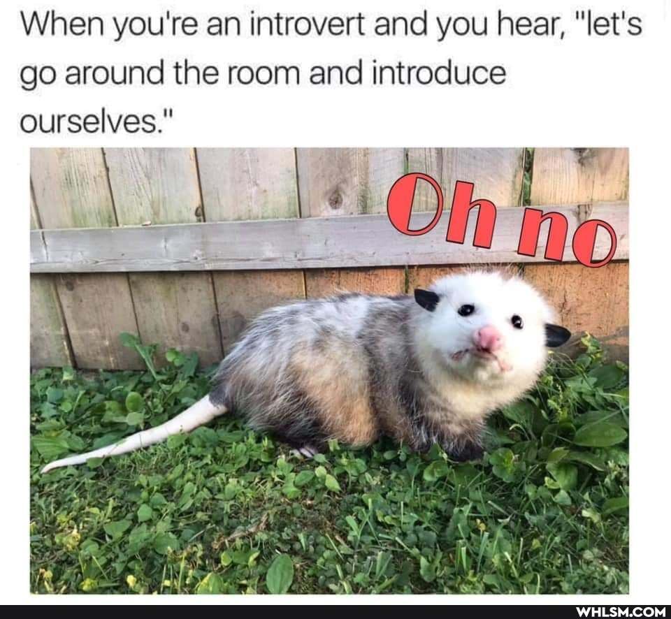 When you're an introvert and you hear, "let's go around the room and introduce ourselves."