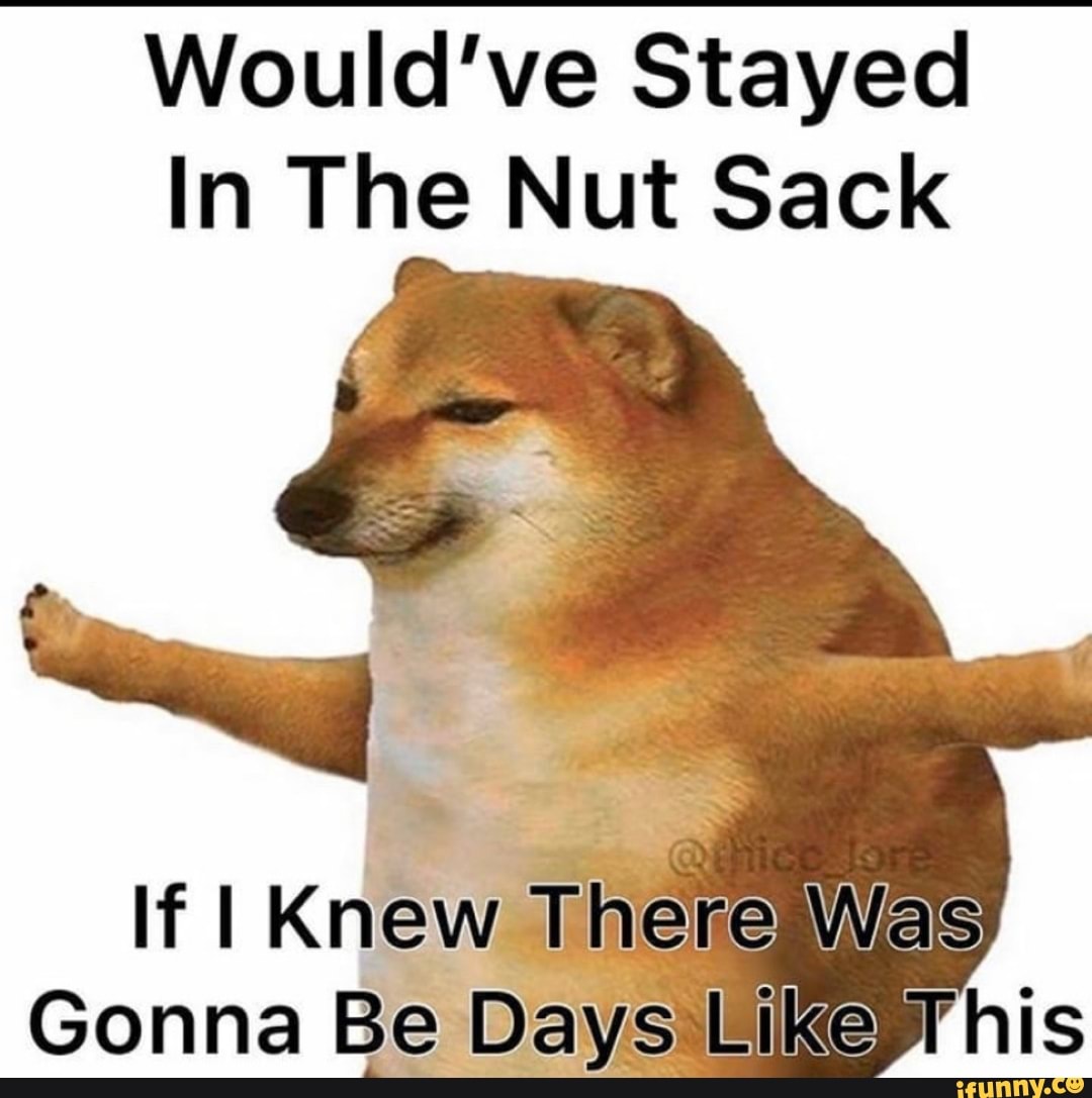 Would've Stayed In The Nut Sack If I Knew There) Was Gonna Be Days