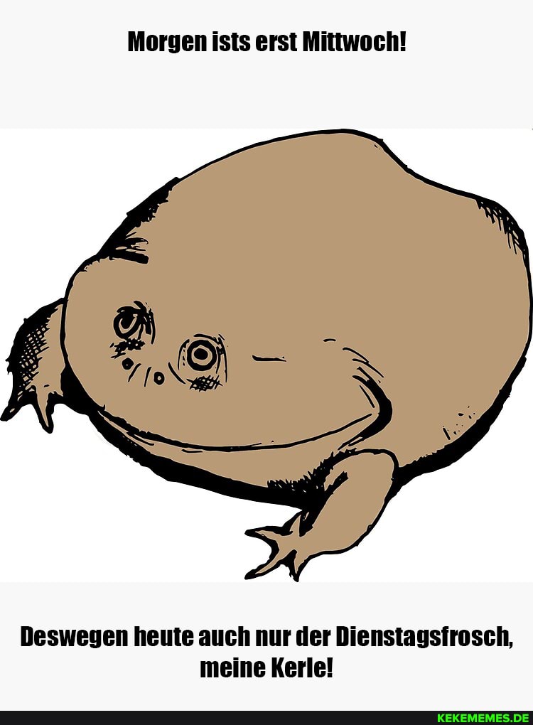 Morgen ists erst Mittwoch!
Deswegen heute auch nur der Dienstagsfrosch, meine Kerle!