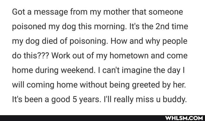 Got a message from my mother that someone poisoned my dog this morning. It's the time my dog died of poisoning. How and why people do this??? Work out of my hometown and come home during weekend. I can't imagine the day I will coming home without being greeted by her.
It's been a good 5 years. I'll really miss u buddy.