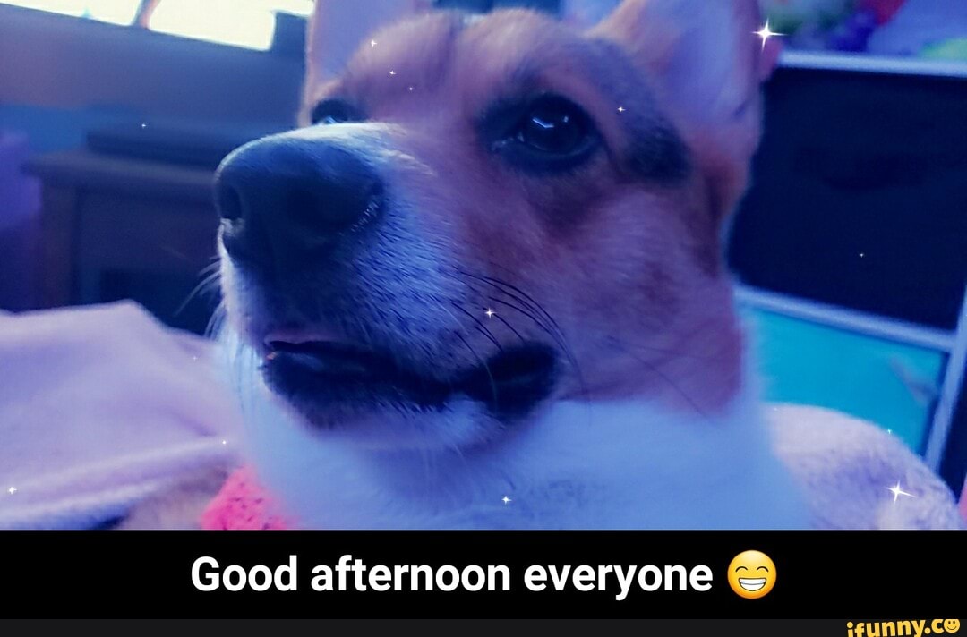 Good afternoon everyone - Good afternoon everyone π