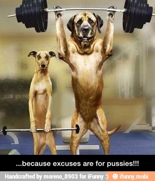 ..because excuses are for pussies!!! - ...because excuses are for pussies!!!