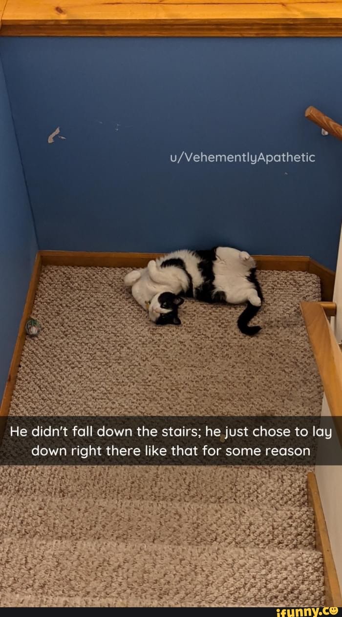 He Didn t Fall Down The Stairs He Just Chose To Lay Down Right There