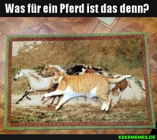tdas denn?
Was für e