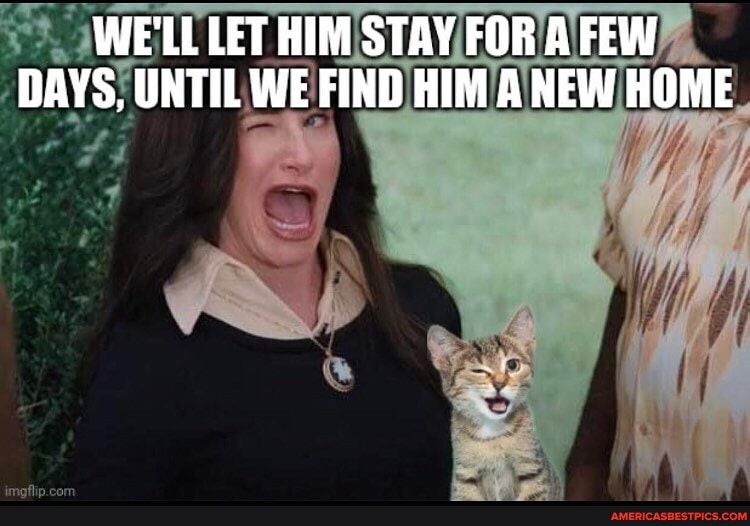 WE'LL LET HIM STAY FOR A FEW DAYS, UNTIL WE FIND HIM A NEW HOME