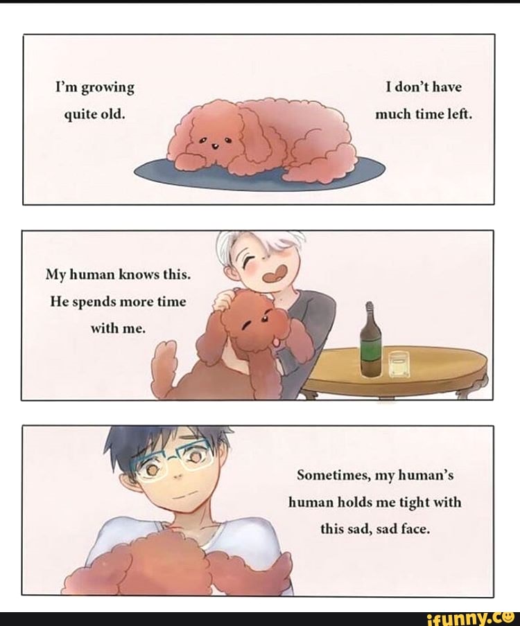 My human knows this.
He spends more time
with me.
Sometimes, my human's
human holds me tight with
this sad, sad face.