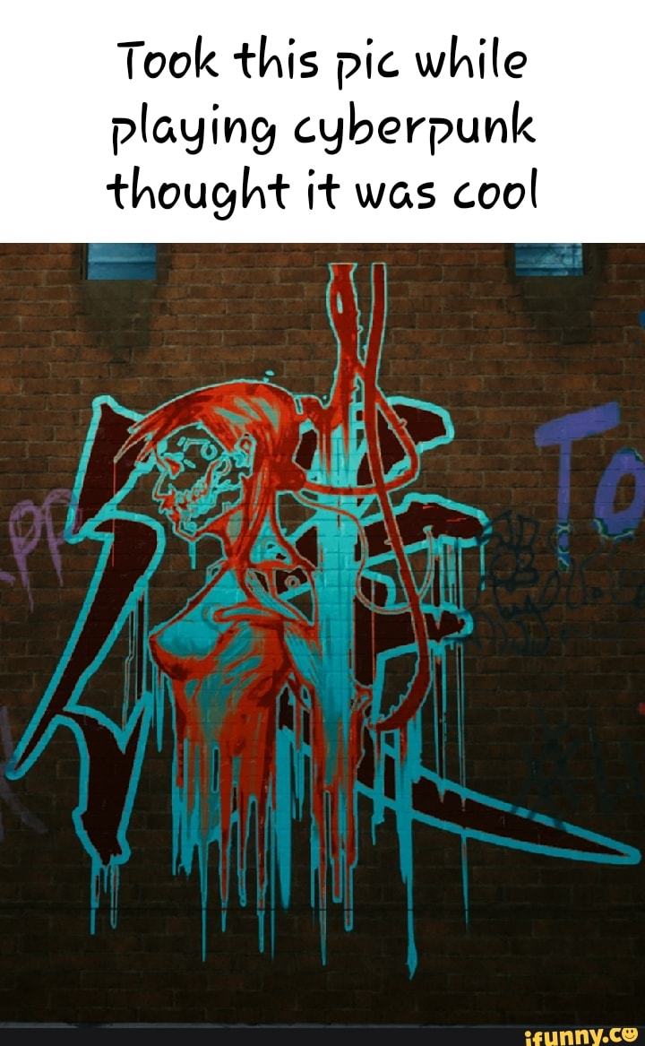 Took this pic while playing cyberpunk thought it was cool - iFunny