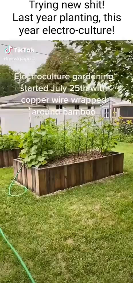 Harnessing the Power of Copper Wire: An Introduction to Electro Culture  Gardening - by Budget101