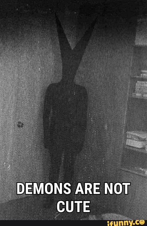 DEMONS ARE NOT CUTE