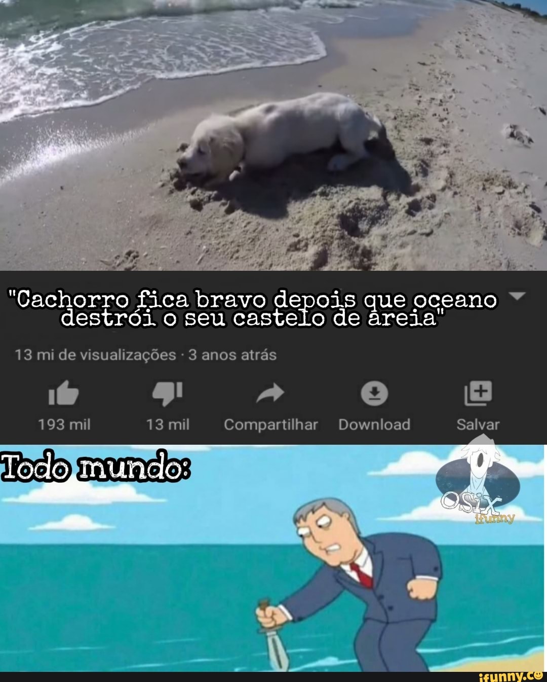 "Cachorro fica bravo depois que oceano 7
destrói o seu castelo de areia
13 mi de visualizações 3 anos atrás
193 mil 13 mil Compartilhar Download Salvar