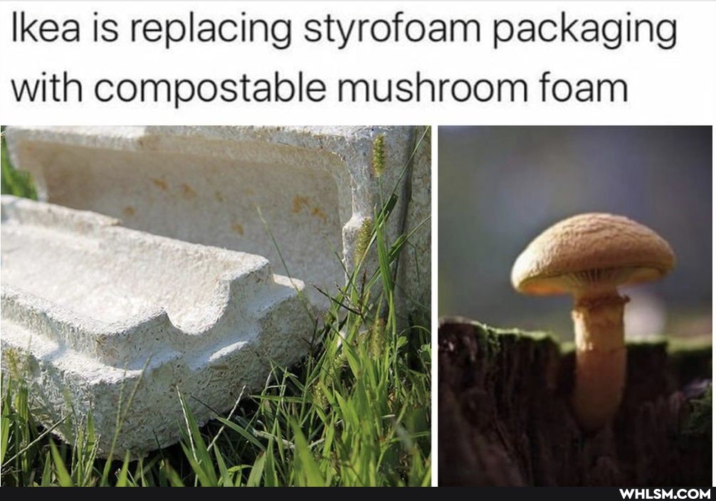 Ikea is replacing styrofoam packaging with compostable mushroom foam
ff,