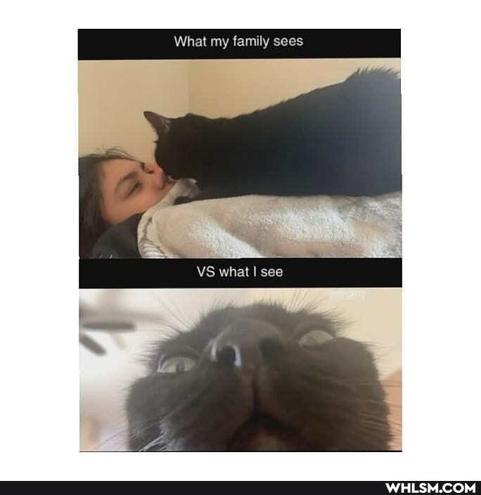 What my family sees
VS whal see