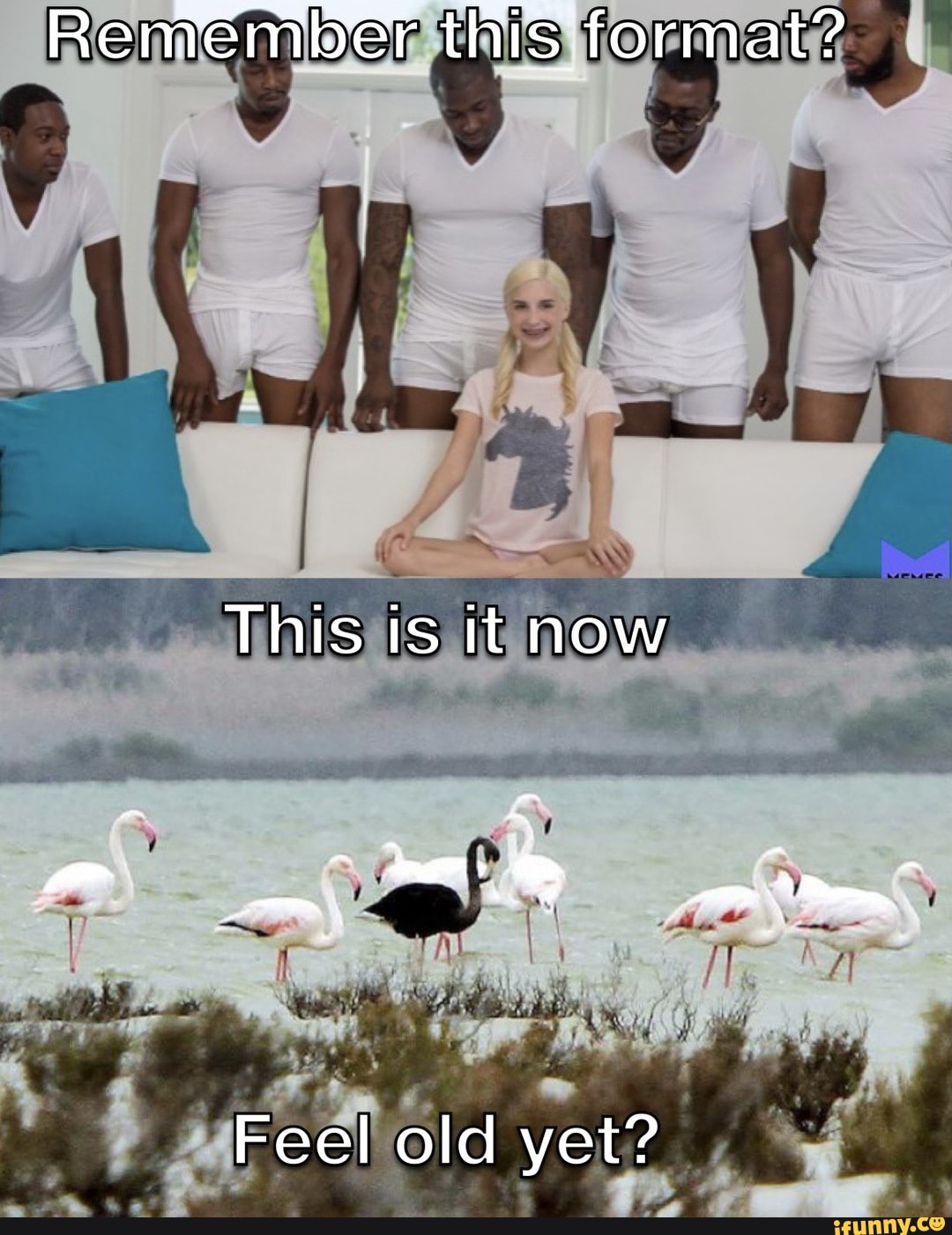 Remember this format? This is it now - & Feel old yet? - iFunny