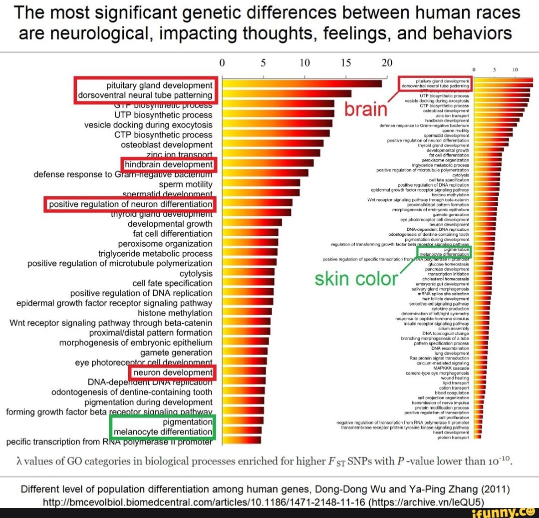 The most significant genetic differences between human races are ...
