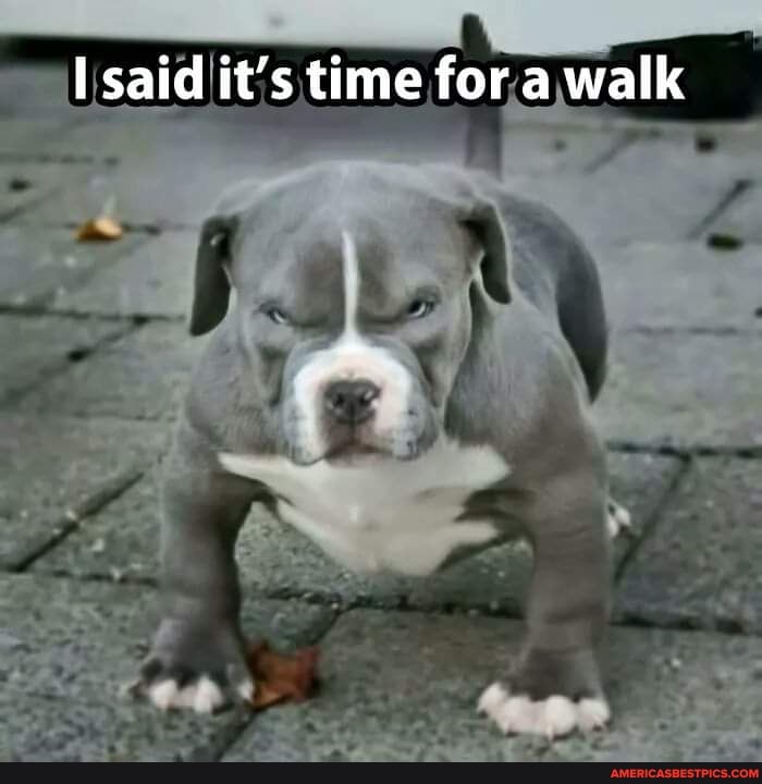 Ut
said it's time for a walk