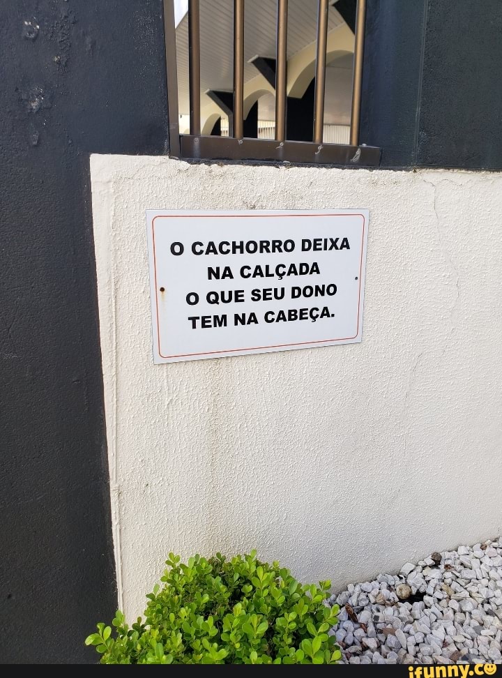 O CACHORRO DEIXA I NA CALÇADA O QUE SEU DONO TEM NA CABEÇA.