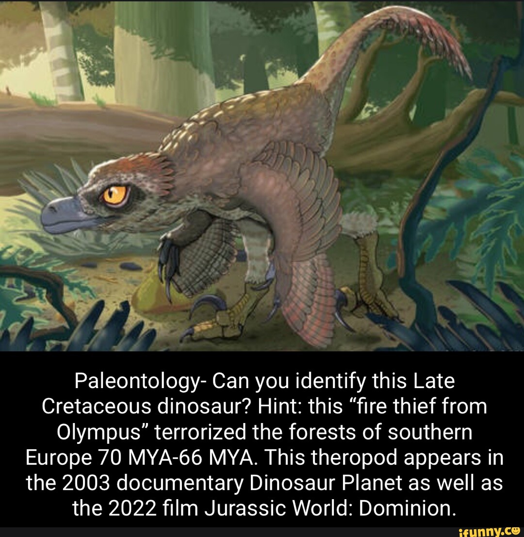 Paleontology- Can you identify this Late Cretaceous dinosaur? Hint ...