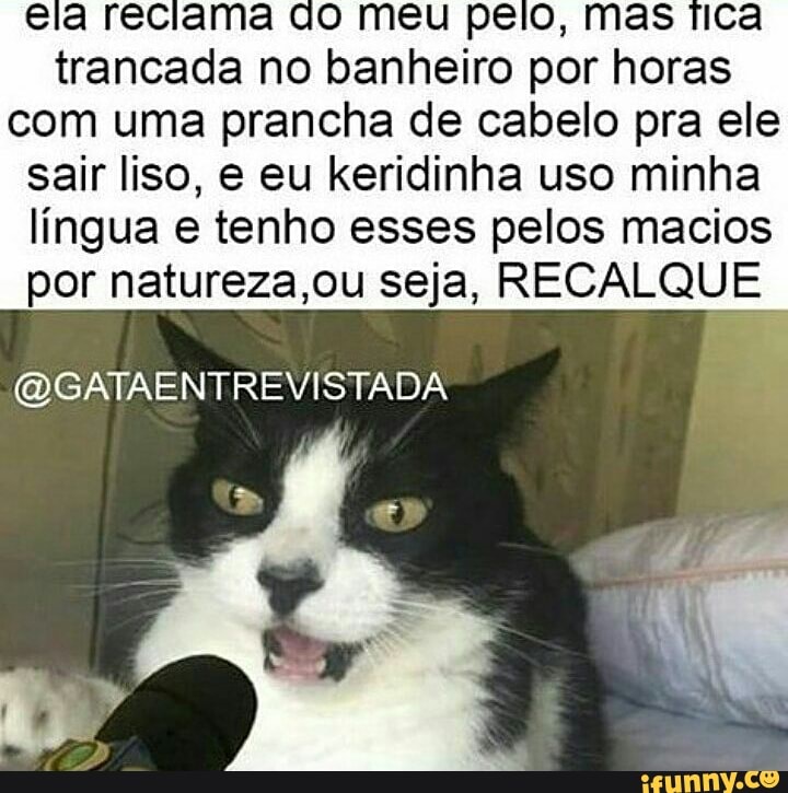 trancada no banheiro
por horas
com uma prancha de cabelo pra ele
sair liso, e eu keridinha uso minha
língua e tenho esses pelos macios
por natureza,ou seja, RECALQUE
@GATAENTREVISTADA