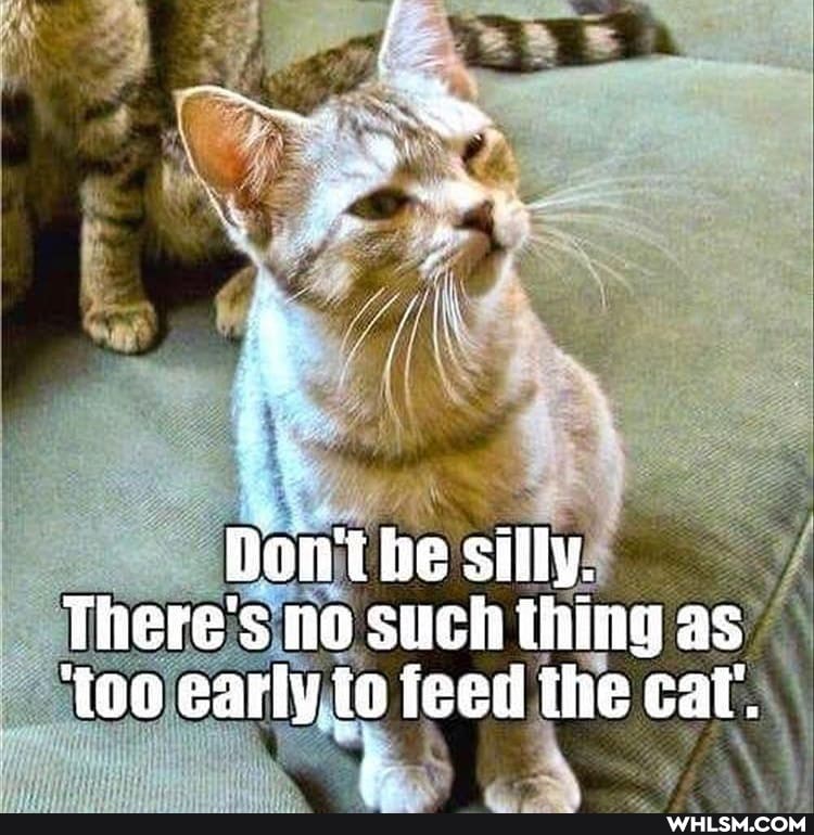 Do he silly.
There's no such tiing as early feed the cat.