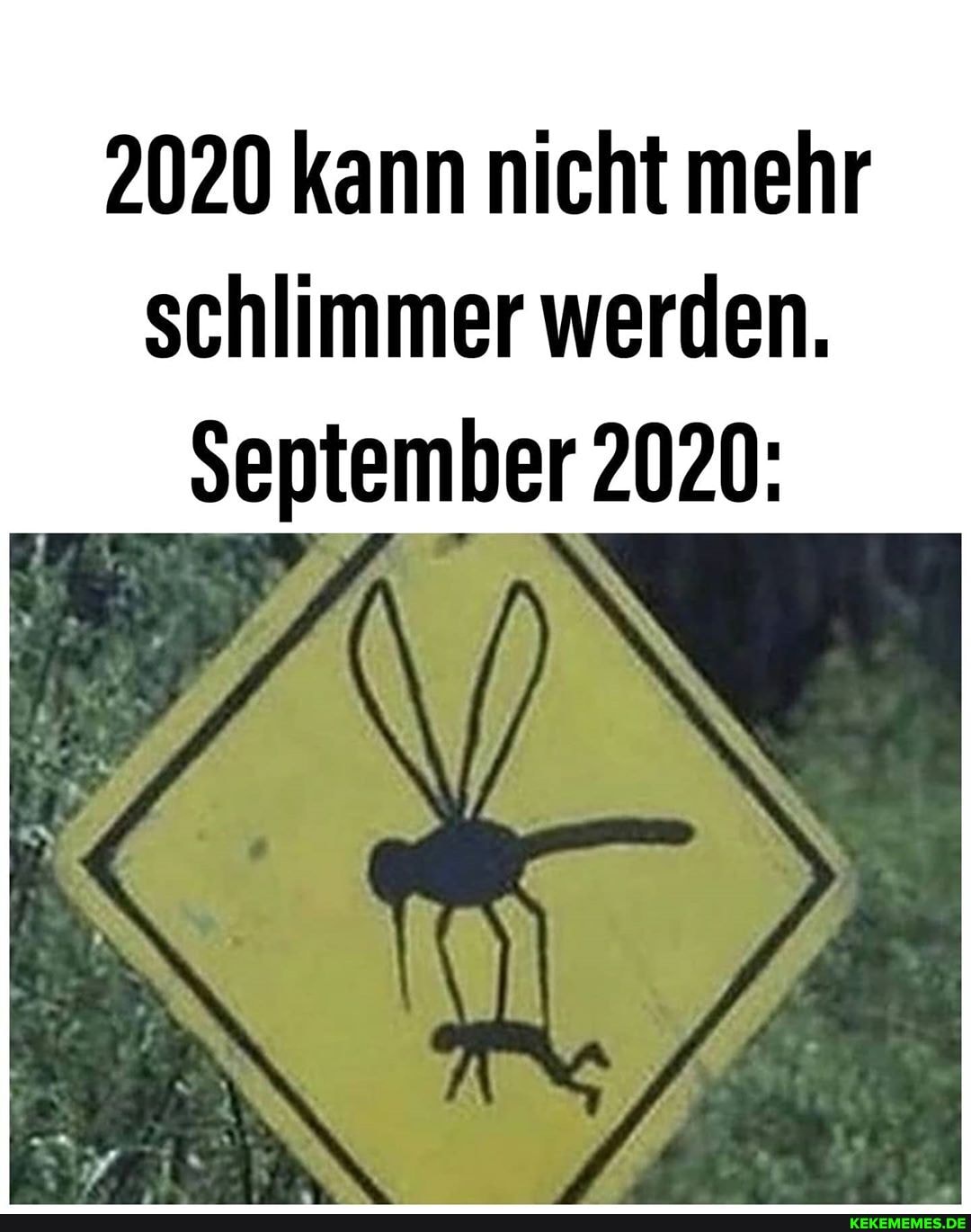 2020 kann nicht mehr schlimmer werden.
september 2020: