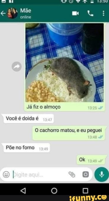 Mãe
online
Já fiz o almoço
Você é doida é
cachorro matou, e eu peguei
Põe no forno
